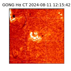 gong - 2024-08-11T12:15:42