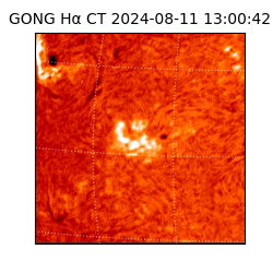 gong - 2024-08-11T13:00:42