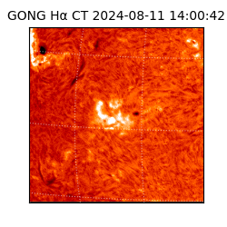 gong - 2024-08-11T14:00:42