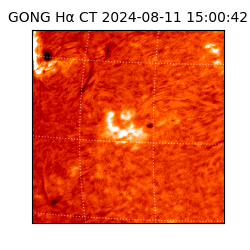 gong - 2024-08-11T15:00:42