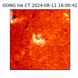 gong - 2024-08-11T16:00:42