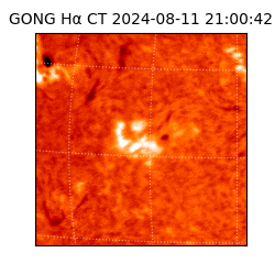gong - 2024-08-11T21:00:42