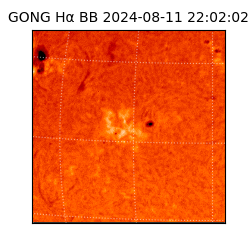gong - 2024-08-11T22:02:02