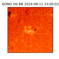 gong - 2024-08-11T23:00:02