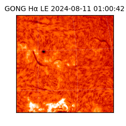 gong - 2024-08-11T01:00:42