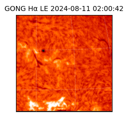 gong - 2024-08-11T02:00:42