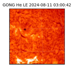 gong - 2024-08-11T03:00:42