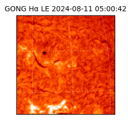gong - 2024-08-11T05:00:42