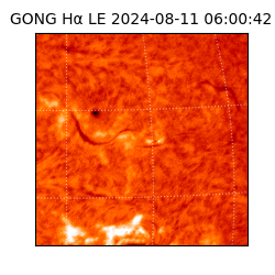 gong - 2024-08-11T06:00:42