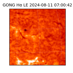 gong - 2024-08-11T07:00:42