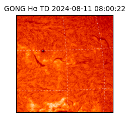 gong - 2024-08-11T08:00:22