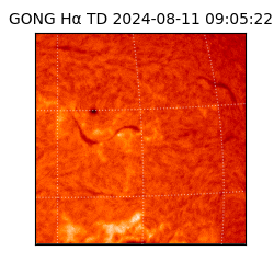 gong - 2024-08-11T09:05:22