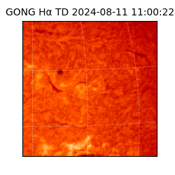 gong - 2024-08-11T11:00:22
