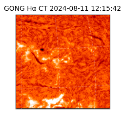 gong - 2024-08-11T12:15:42