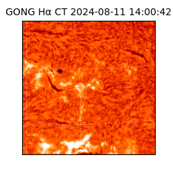 gong - 2024-08-11T14:00:42