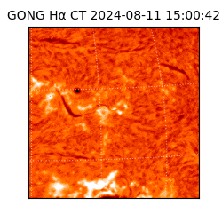 gong - 2024-08-11T15:00:42