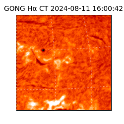 gong - 2024-08-11T16:00:42