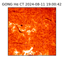 gong - 2024-08-11T19:00:42