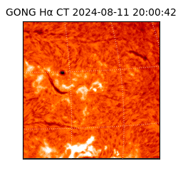 gong - 2024-08-11T20:00:42