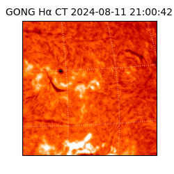 gong - 2024-08-11T21:00:42
