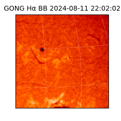 gong - 2024-08-11T22:02:02