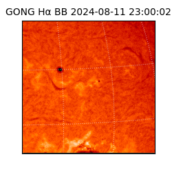 gong - 2024-08-11T23:00:02