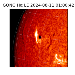 gong - 2024-08-11T01:00:42
