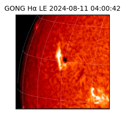 gong - 2024-08-11T04:00:42