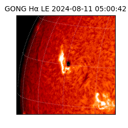 gong - 2024-08-11T05:00:42