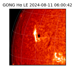 gong - 2024-08-11T06:00:42