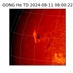 gong - 2024-08-11T08:00:22