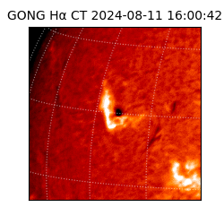 gong - 2024-08-11T16:00:42