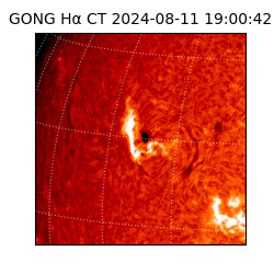 gong - 2024-08-11T19:00:42