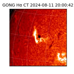 gong - 2024-08-11T20:00:42