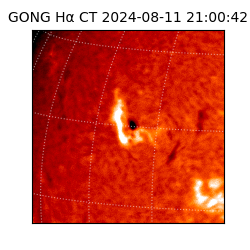 gong - 2024-08-11T21:00:42