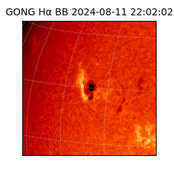 gong - 2024-08-11T22:02:02