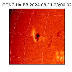 gong - 2024-08-11T23:00:02