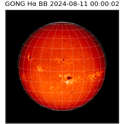 gong - 2024-08-11T00:00:02