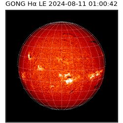 gong - 2024-08-11T01:00:42