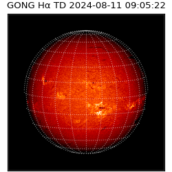 gong - 2024-08-11T09:05:22