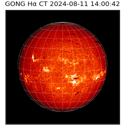 gong - 2024-08-11T14:00:42