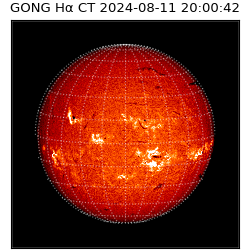 gong - 2024-08-11T20:00:42