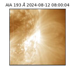 saia - 2024-08-12T08:00:04.843000