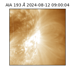 saia - 2024-08-12T09:00:04.843000