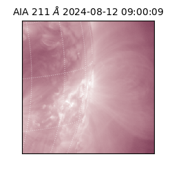 saia - 2024-08-12T09:00:09.630000