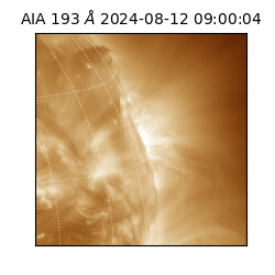 saia - 2024-08-12T09:00:04.843000