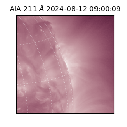 saia - 2024-08-12T09:00:09.630000