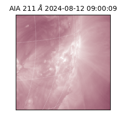 saia - 2024-08-12T09:00:09.630000
