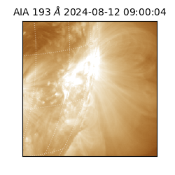 saia - 2024-08-12T09:00:04.843000