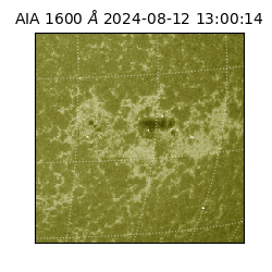 saia - 2024-08-12T13:00:14.129000